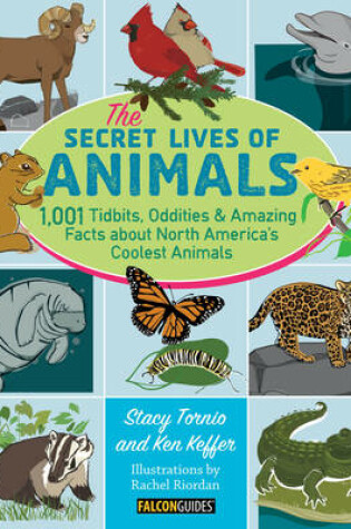 Cover of The Secret Lives of Animals