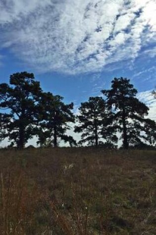 Cover of Magnificent Oak Trees on a Texas Ridge