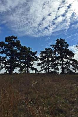 Book cover for Magnificent Oak Trees on a Texas Ridge