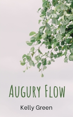 Book cover for Augury Flow