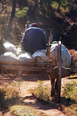 Book cover for Farmer on an Oxcart in Vietnam Journal