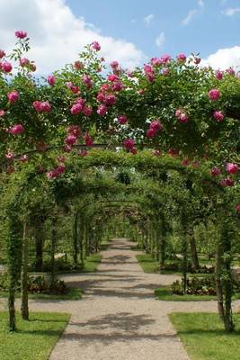 Book cover for Pink Rose Covered Archway