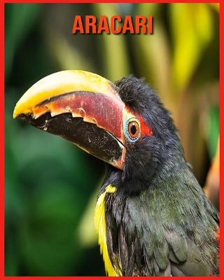 Book cover for Aracari