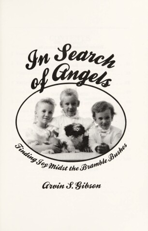 Book cover for In Search of Angels/2052