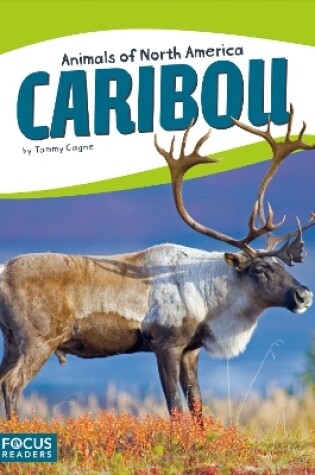 Cover of Caribou