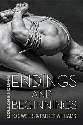Book cover for Endings and Beginnings