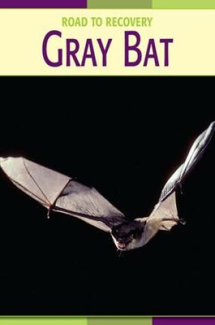 Cover of Gray Bat