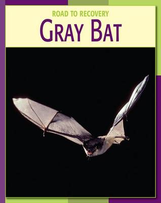 Cover of Gray Bat