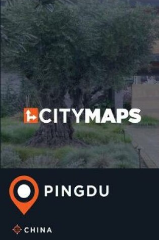 Cover of City Maps Pingdu China