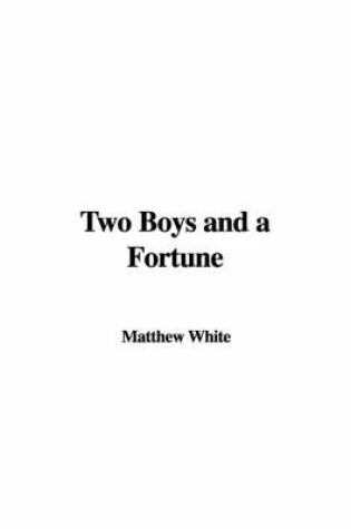 Cover of Two Boys and a Fortune
