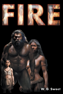 Book cover for Fire