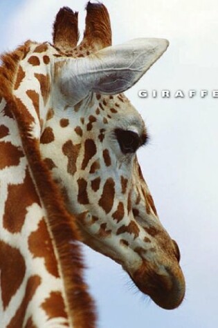 Cover of Giraffes