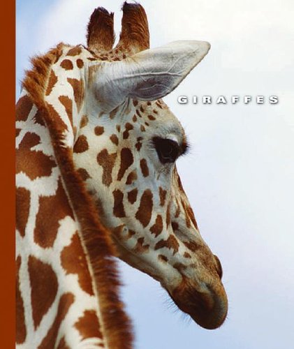 Cover of Giraffes