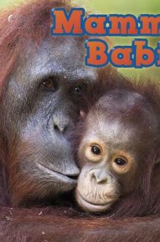 Cover of Mammal Babies