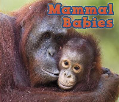 Book cover for Mammal Babies