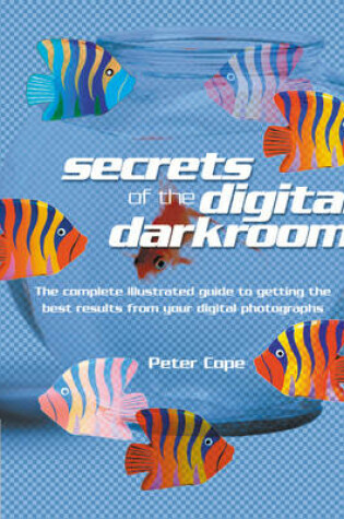 Cover of Secrets of the Digital Darkroom