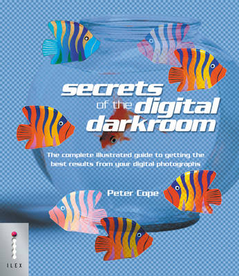 Book cover for Secrets of the Digital Darkroom