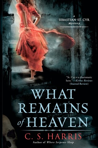 Book cover for What Remains of Heaven