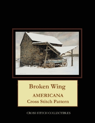 Book cover for Broken Wing