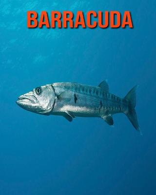 Book cover for Barracuda