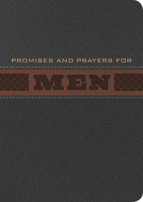 Book cover for PROMISES AND PRAYERS FOR MEN