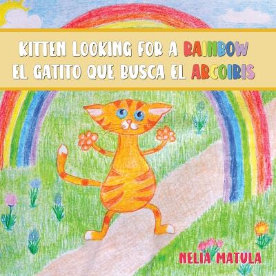 Book cover for Kitten Looking for a Rainbow