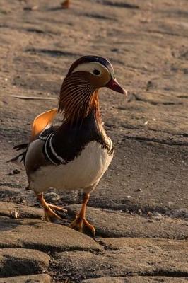 Book cover for Mandarin Duck Journal