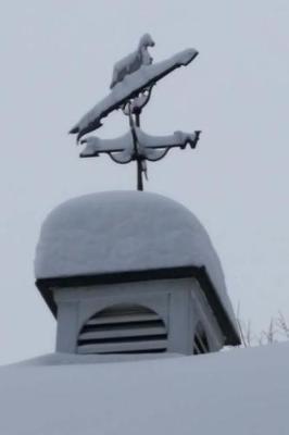 Book cover for Journal Weathervane Equine Horse Snowy Winter Day