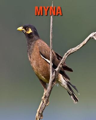 Book cover for Myna