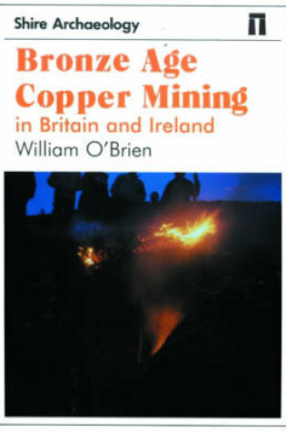 Cover of Bronze Age Copper Mining in Britain and Ireland