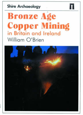 Cover of Bronze Age Copper Mining in Britain and Ireland