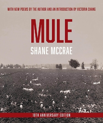 Book cover for Mule