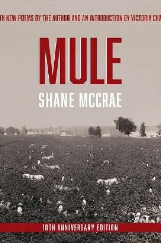 Cover of Mule: 10th Anniversary Edition