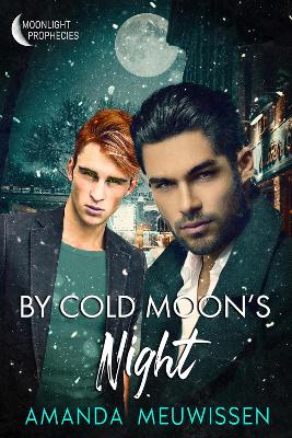 Book cover for By Cold Moon's Night