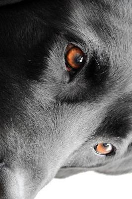 Book cover for The Loving Eyes of a Black Lab Dog Journal