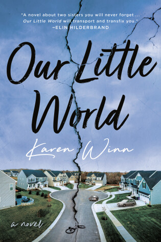 Book cover for Our Little World