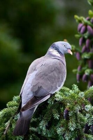 Cover of Dove in the Garden Journal