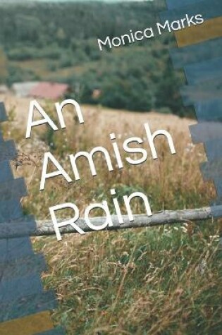 Cover of An Amish Rain