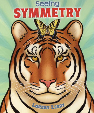 Book cover for Seeing Symmetry