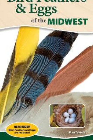 Cover of Bird Feathers & Eggs of the Midwest