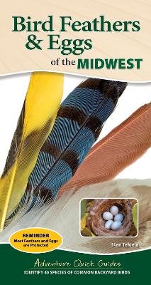 Cover of Bird Feathers & Eggs of the Midwest