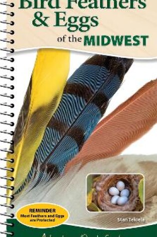 Cover of Bird Feathers & Eggs of the Midwest