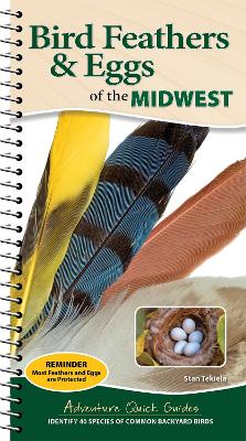 Book cover for Bird Feathers & Eggs of the Midwest