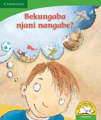 Book cover for Bekungaba njani nangabe? (IsiNdebele)