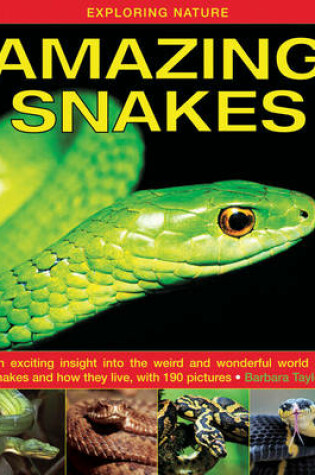 Cover of Exploring Nature: Amazing Snakes