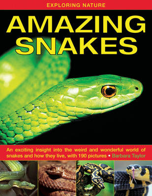 Book cover for Exploring Nature: Amazing Snakes