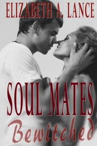 Cover of Soul Mates Bewitched