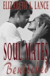 Book cover for Soul Mates Bewitched