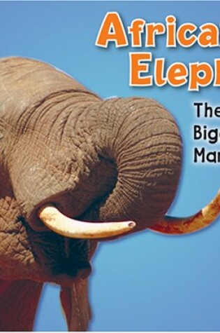 Cover of African Elephant