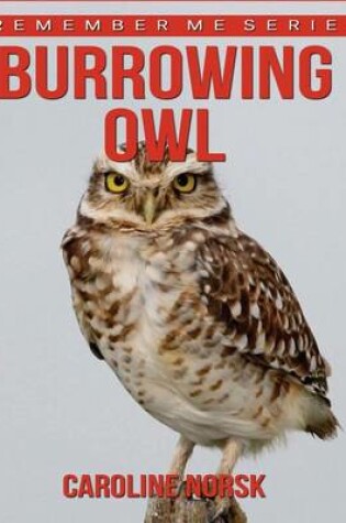 Cover of Burrowing Owl